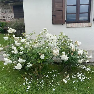 Romantico Radicofani
